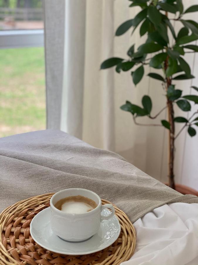 Ragnar Glamp Koknese Villa Dış mekan fotoğraf