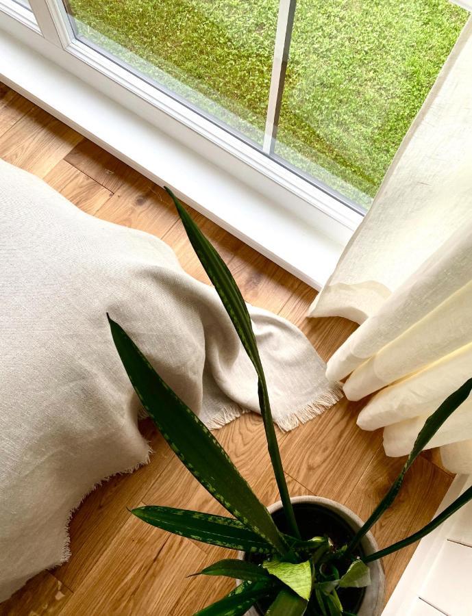 Ragnar Glamp Koknese Villa Dış mekan fotoğraf