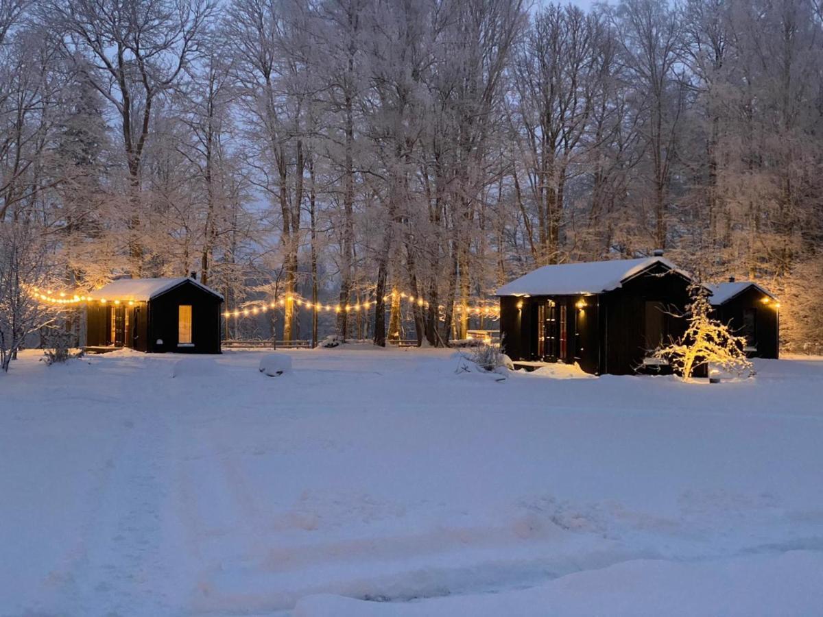 Ragnar Glamp Koknese Villa Dış mekan fotoğraf